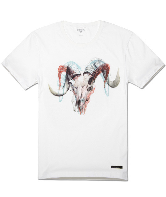 ���� 03693C100