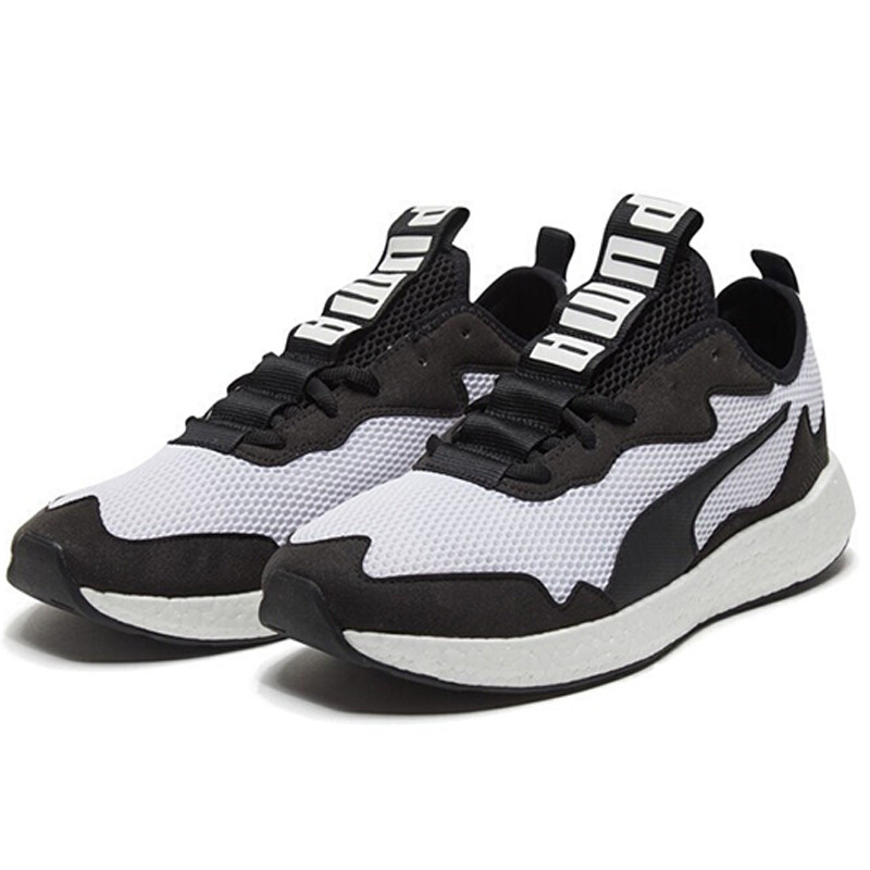 ���� 19262104