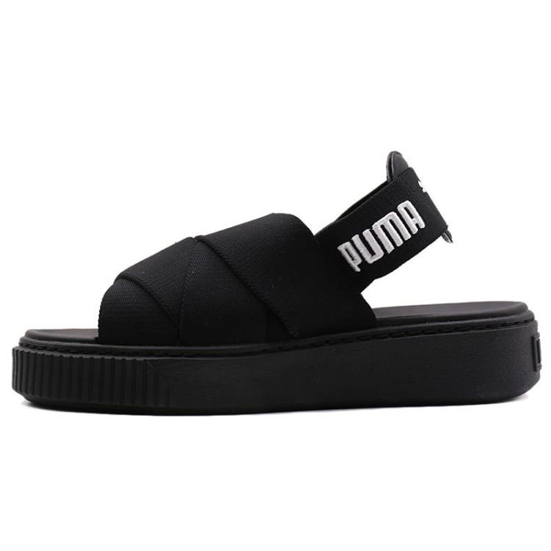 ���� 36547801